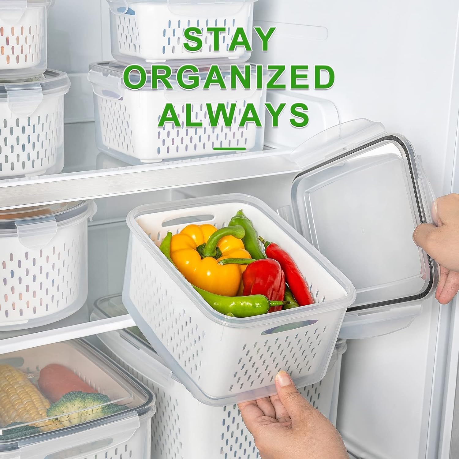 FreshGuard™ Storage Set